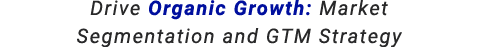 Drive Organic Growth: Market Segmentation and GTM Strategy