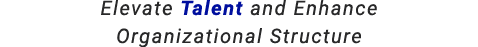 Elevate Talent and Enhance Organizational Structure
