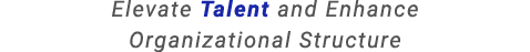 Elevate Talent and Enhance Organizational Structure