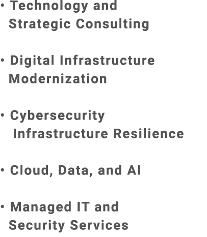• Technology and Strategic Consulting • Digital Infrastructure Modernization • Cybersecurity Infrastructure Resilienc...