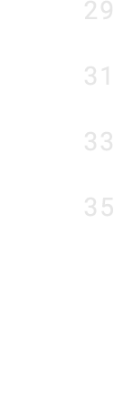 29 31 33 35